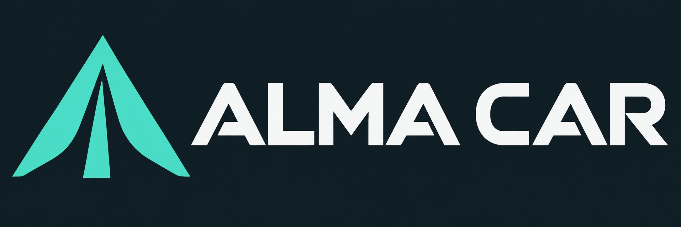 ALMA CAR — עבודת צוות